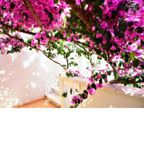 Casamare Hotel