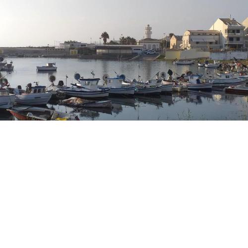 casAmare