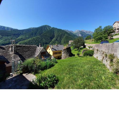 CasAmici