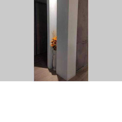 CasaPink (010046-LT-1159)
