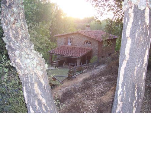Casas el Alamillo- el Castañero