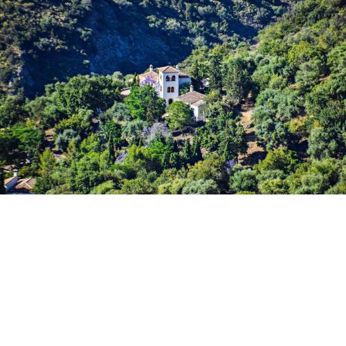 Casas Rurales Los Algarrobales