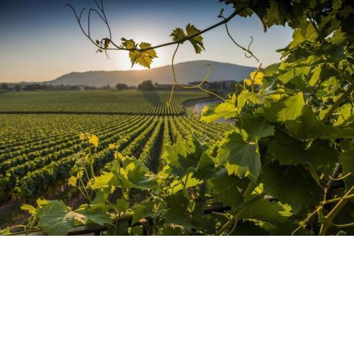 CasaViva - Grazioso Bilocale in Franciacorta