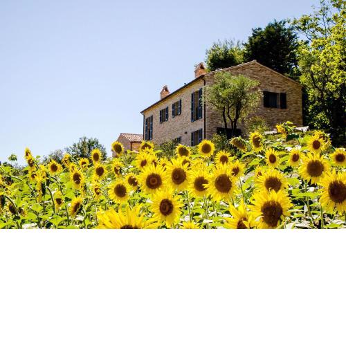 CasaVostra - Ambience Suites