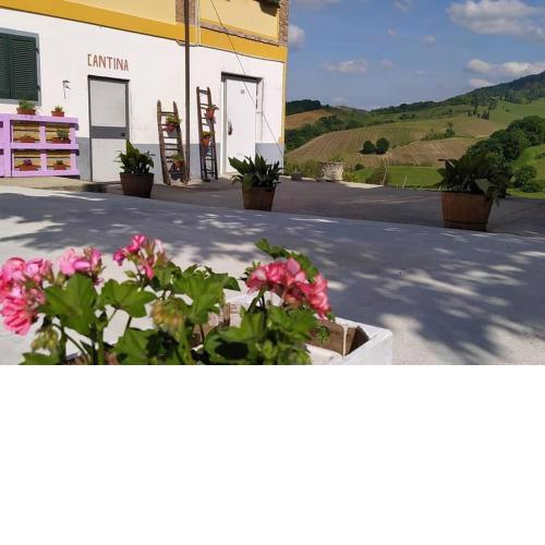 Cascina Angelina