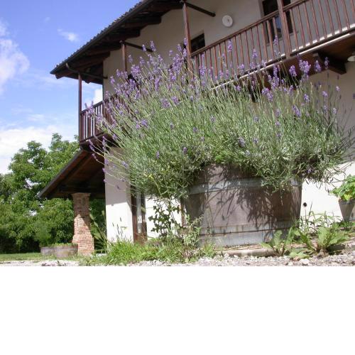 Cascina Creusa B&B