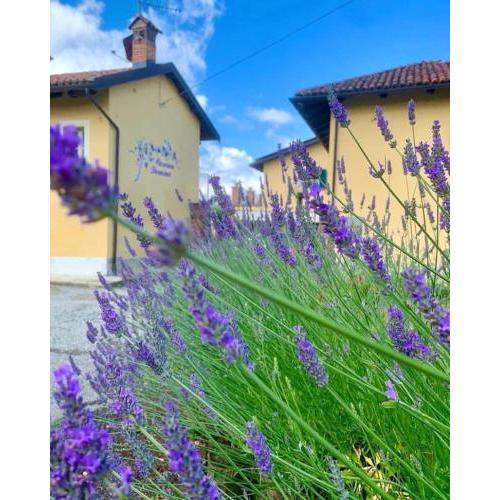 CASCINA DOMINA