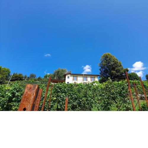 Cascina Teresina