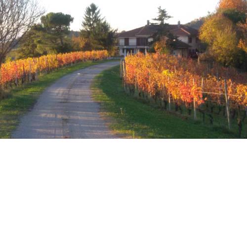 Cascina Torello