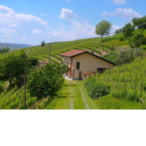Cascina tra i vigneti a Nizza Monferrato