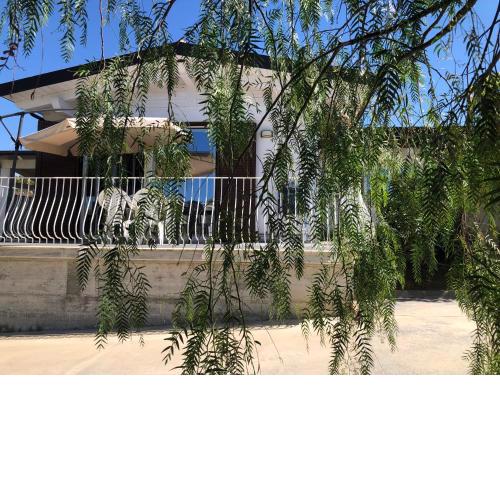 cascinale