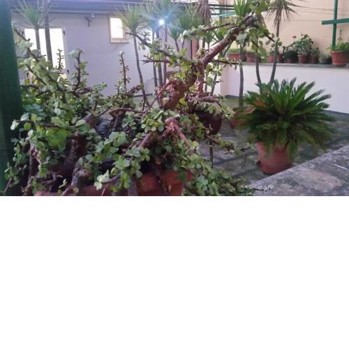 case vacanze, La casa di Angelo, con terrazzo