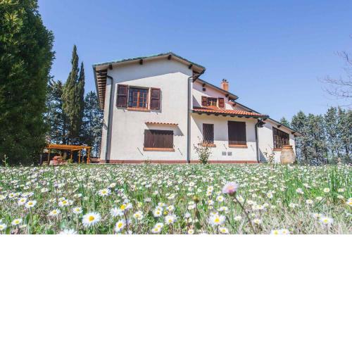CASE&COLLINE Mulino 6