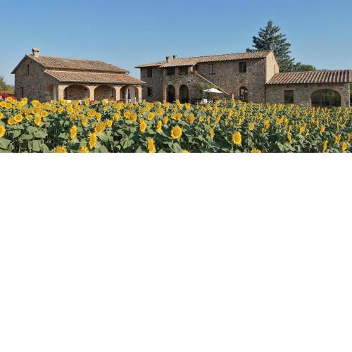 Casetta della Pina