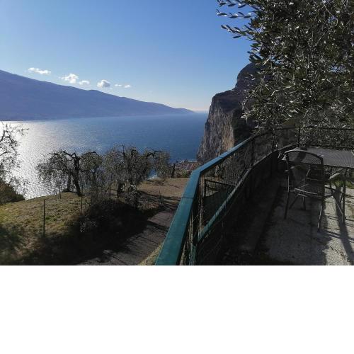 Casetta delle olive