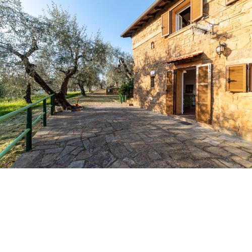 Casetta Maduneta immersa in un oliveto