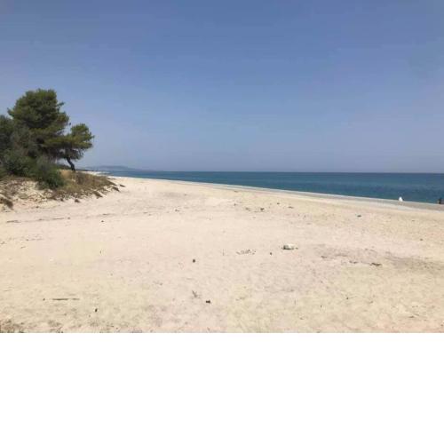 Casetta