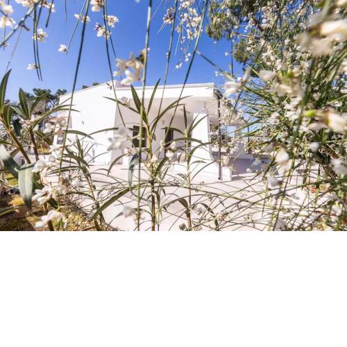 Casina Anna Maria
