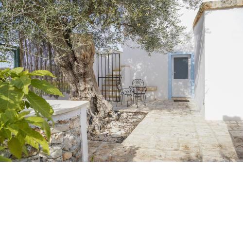Casina delle Rose - Scirocco