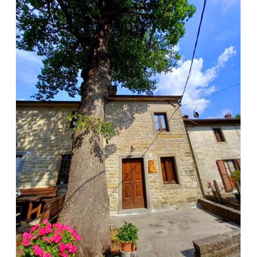 CASINA LA QUERCIA