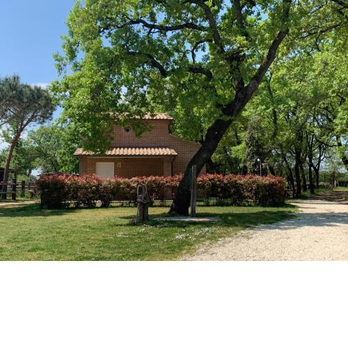 Casina Miriano