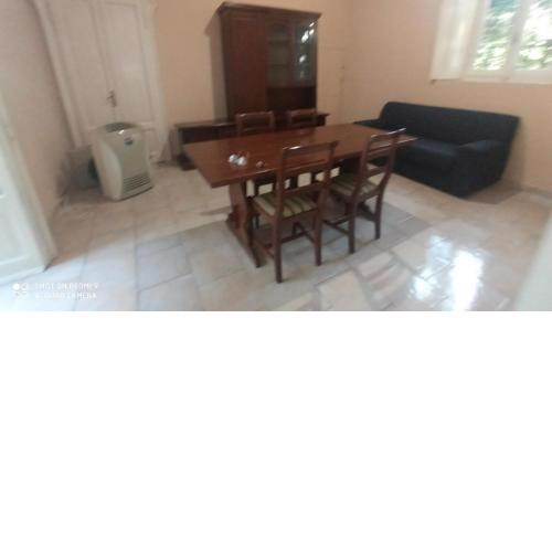 Casina modesta