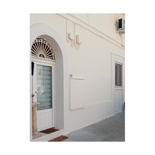 Casina Tasso