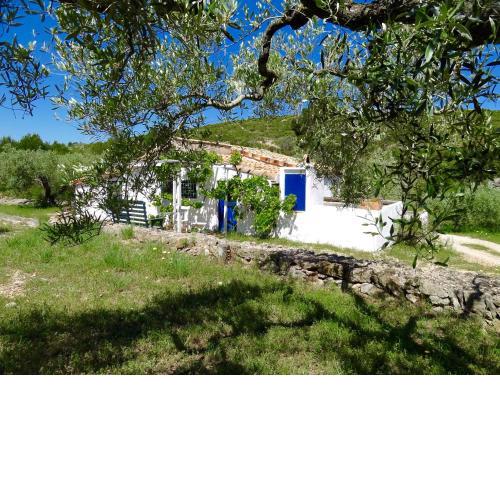 Casita Blanca