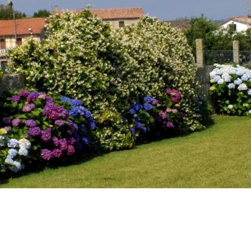 Casita curbeiros