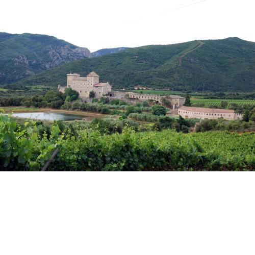 Castell de Riudabella