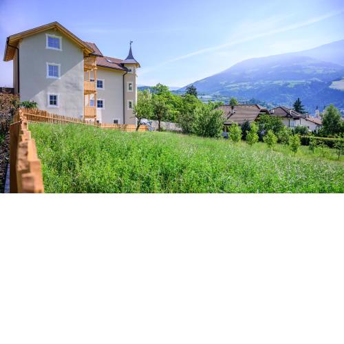 Castell Matscher