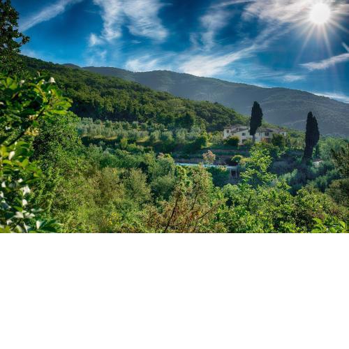Castellina di Bocco