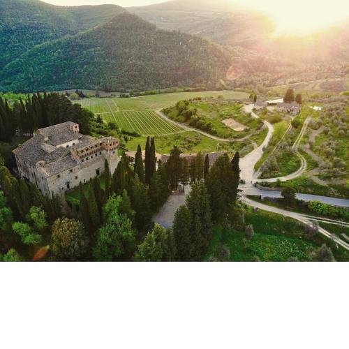 Castello Del Trebbio