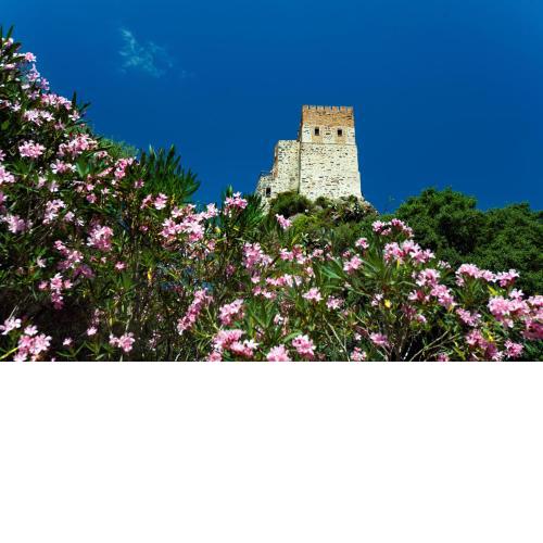 Castello Malicas