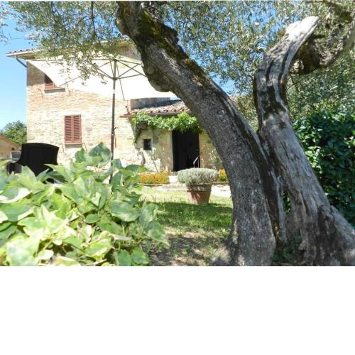 Castigliona Cetona Siena