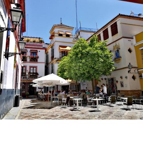 Casual Don Juan Tenorio Sevilla