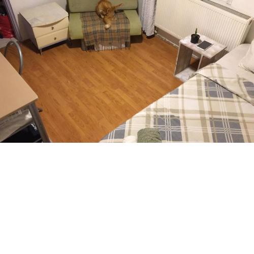 Cat house