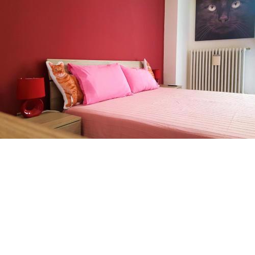 Cat's Room