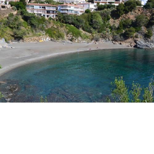 CAU DEL LLOP 11