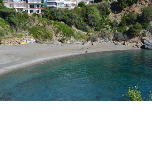 CAU DEL LLOP 3