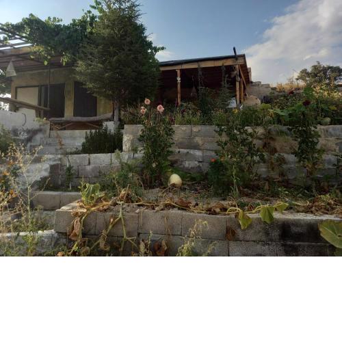 CAVE HOUSE(KIR EVİ)