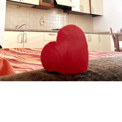 Cecina's house convenient to center and the sea