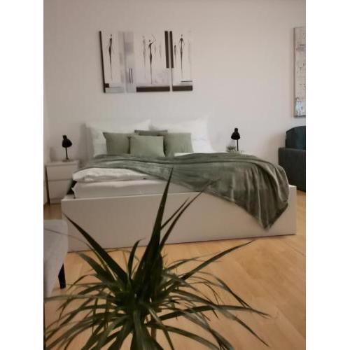 Central Alpha Apartment 7min to the city centar