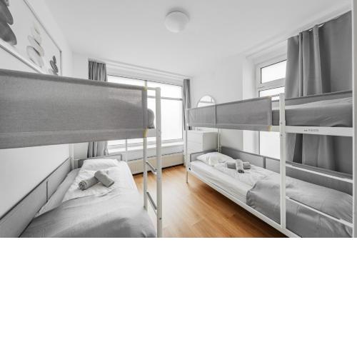 Central Apartment Lofts