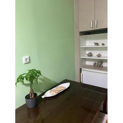 Central apartment