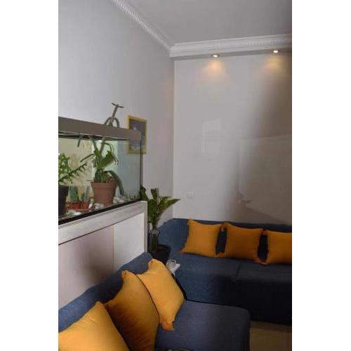 Central apartment