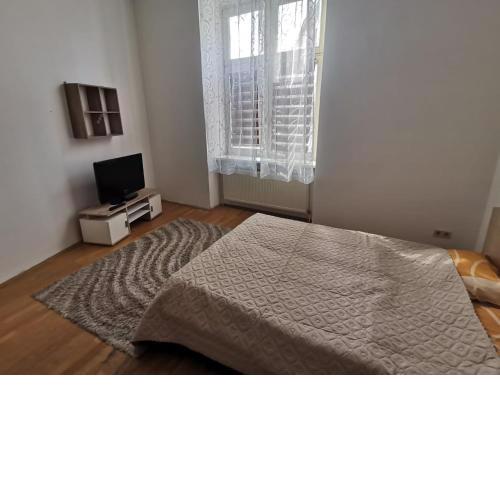 Central City Apartment