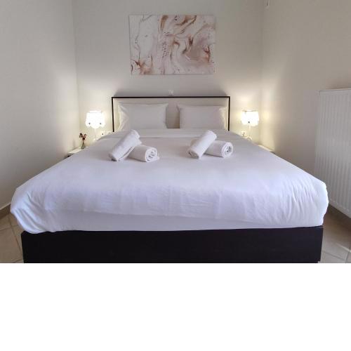 Central & Comfortable, with Acropolis view