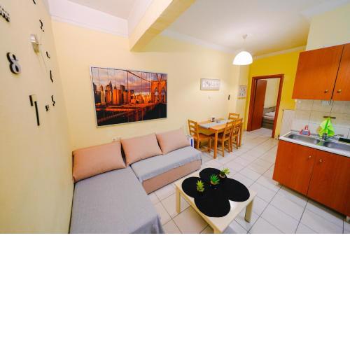 Central newly furnished spacious apartment