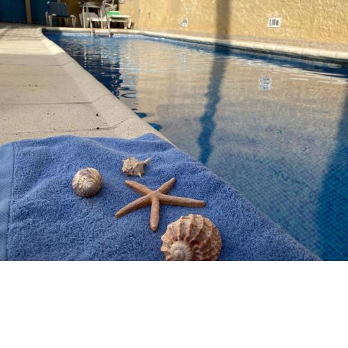 Centrico apartamento con piscina